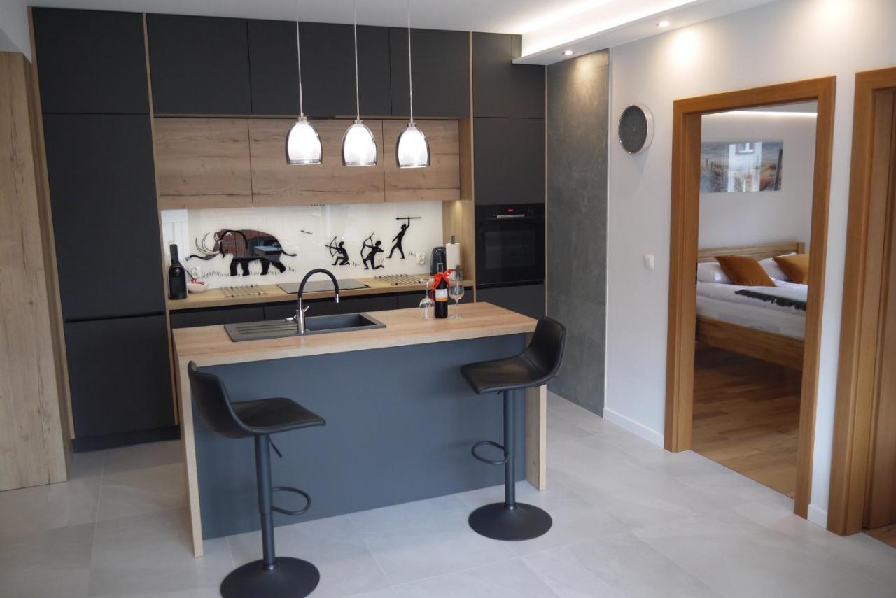 Apartament Nowy Zygmunta Premium
